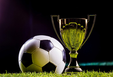 卢卡库在过 卢卡库在过