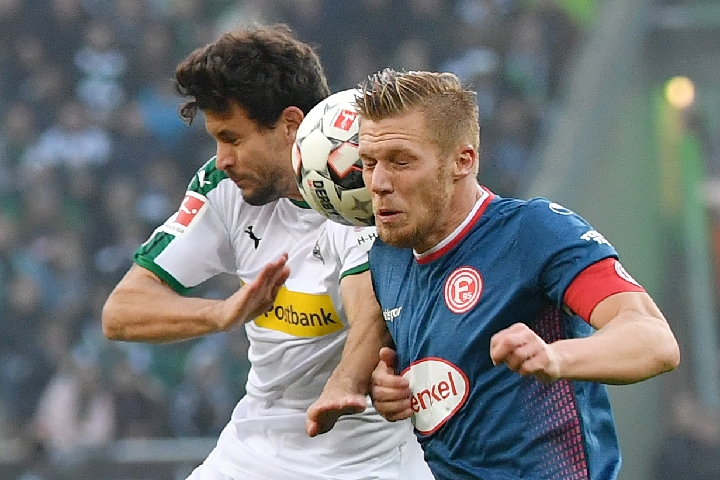 这不仅突显 这不仅突显