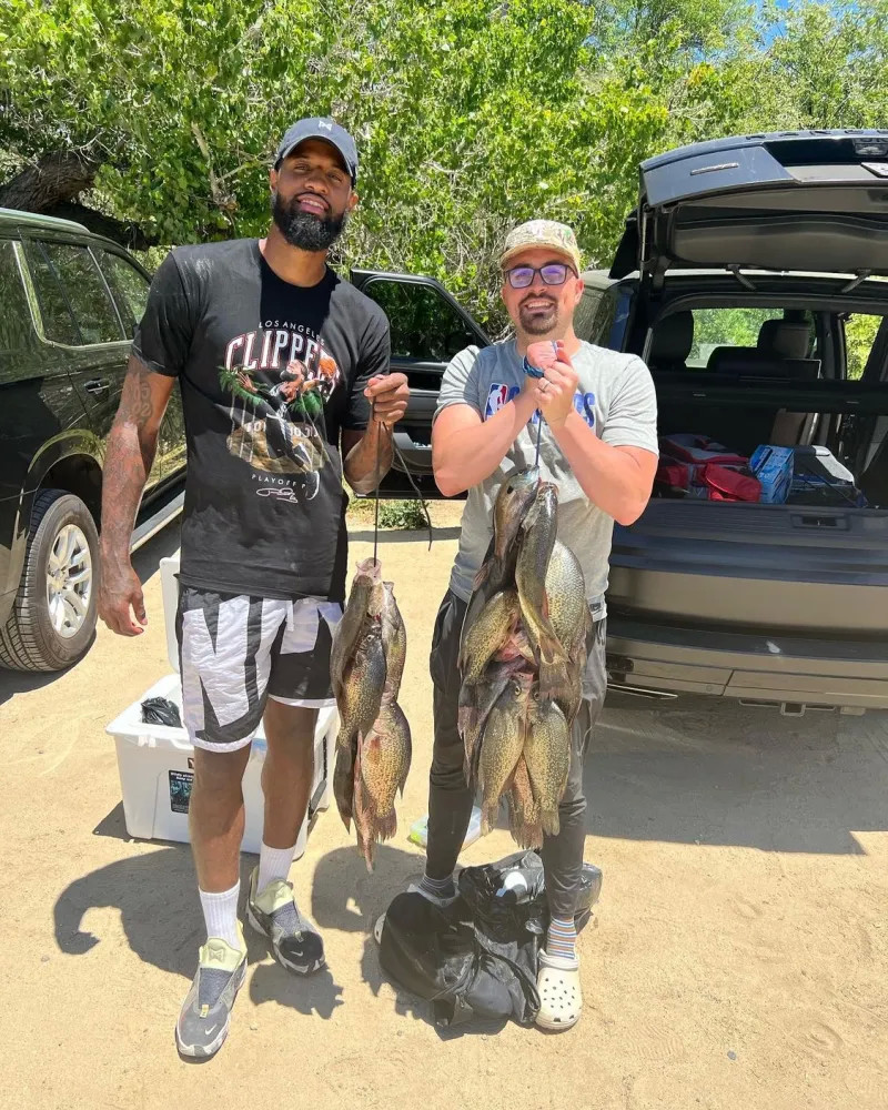 术角度来看 术角度来看