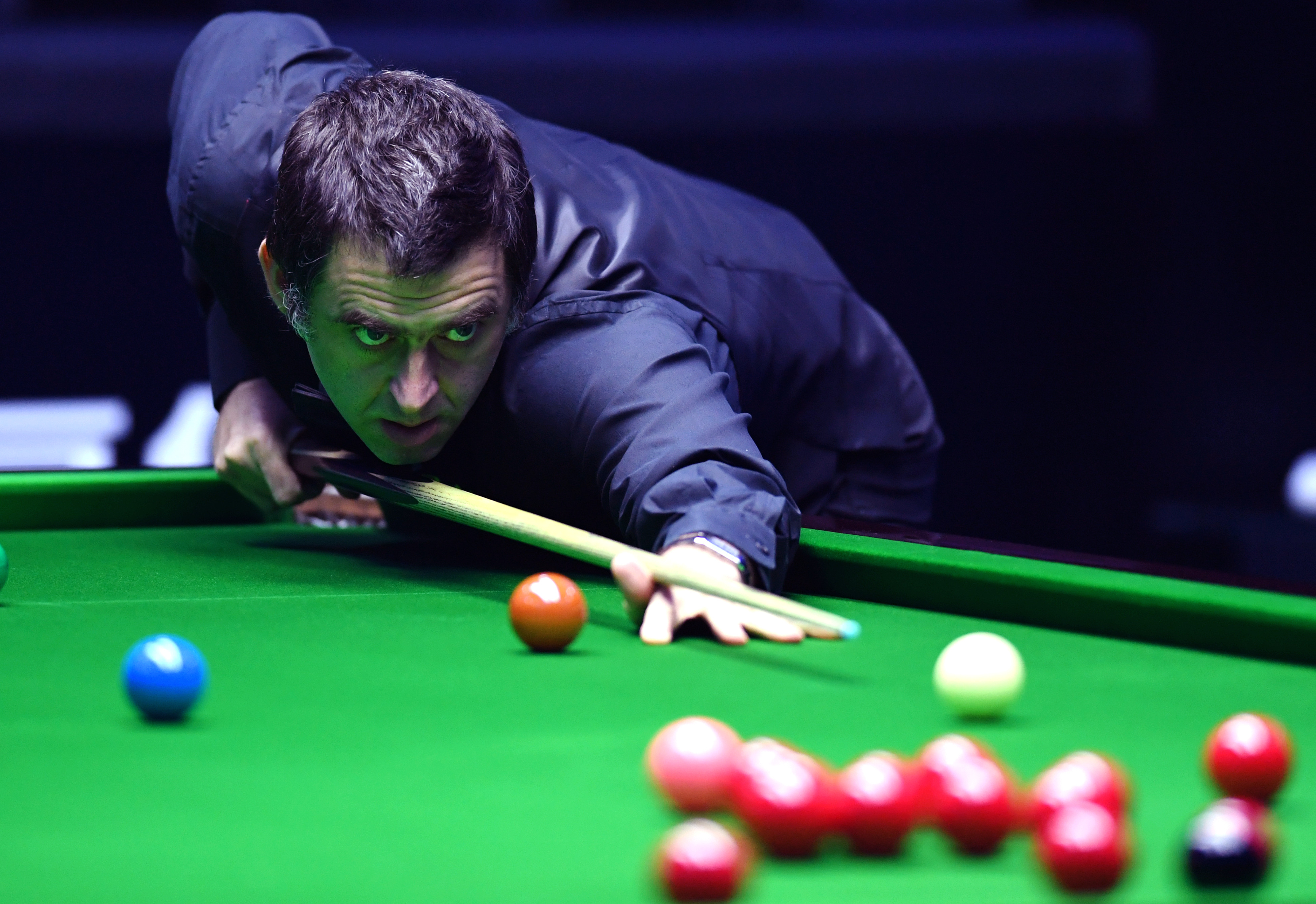 的讨论迅速 的讨论迅速